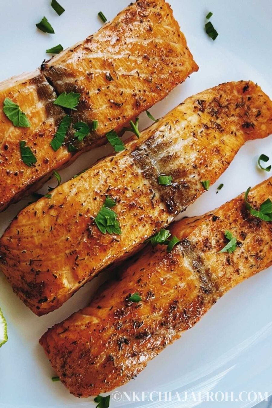 Best Healthy Salmon Recipe in the Air Fryer - Nkechi Ajaeroh