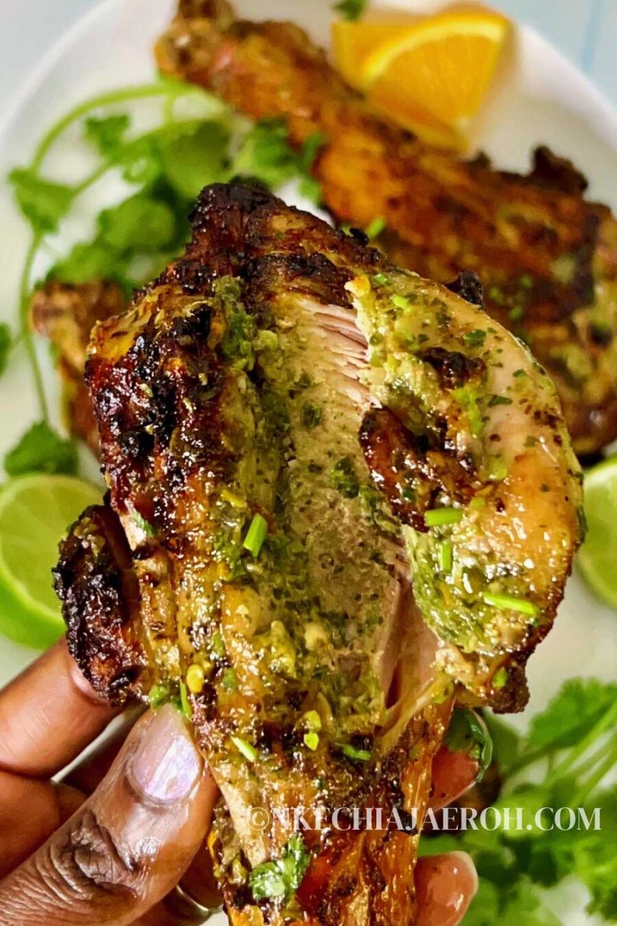 Marinated Turkey Legs in the Air Fryer Nkechi Ajaeroh