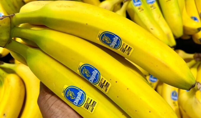 If you go wild for bananas, then this post is for you! Here’s what you should know about eating bananas and how they benefit your health! Amazingly there are several health benefits to eating bananas! Bananas can regulate blood pressure. They can help the blood sugar too! Bananas are rich in antioxidants and great for GUT health!