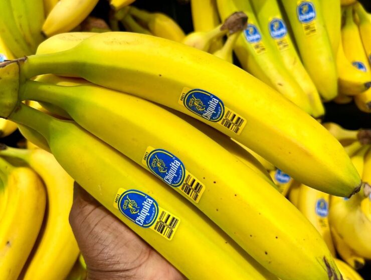 If you go wild for bananas, then this post is for you! Here’s what you should know about eating bananas and how they benefit your health! Amazingly there are several health benefits to eating bananas! Bananas can regulate blood pressure. They can help the blood sugar too! Bananas are rich in antioxidants and great for GUT health!