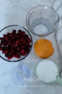 This Cranberry Citrus Sparkler is the perfect healthy holiday drink! Made with fresh cranberry syrup, citrus, and sparkling water, it’s vibrant, refreshing, and naturally sweetened — a festive mocktail everyone will love. #HealthyHolidays #CranberryMocktail #ThanksgivingDrinks